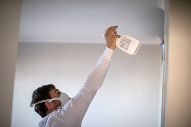 Office Mold Removal Services in Wilberforce, OH
